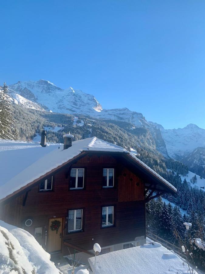 Apartmán Aargovia Wengen